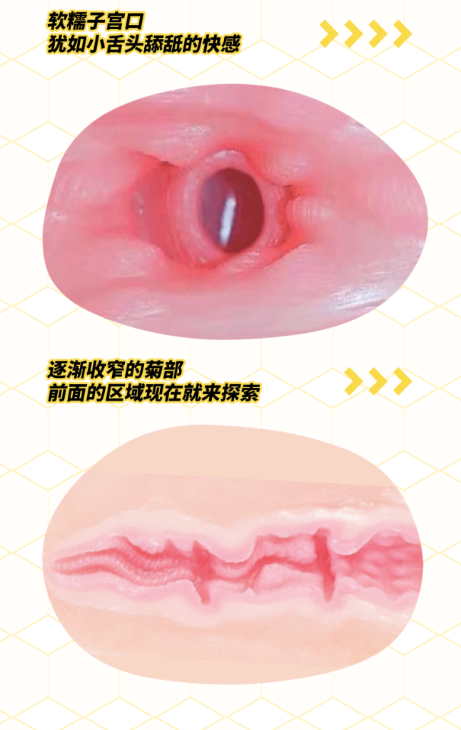 图片[6]-KAGUYANO布丁臀模，蜂蜜芥末，想为你变闪耀-KisuGal